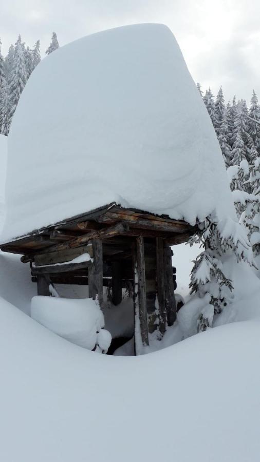 Haus Hoellwart Sankt Johann im Pongau Exterior foto